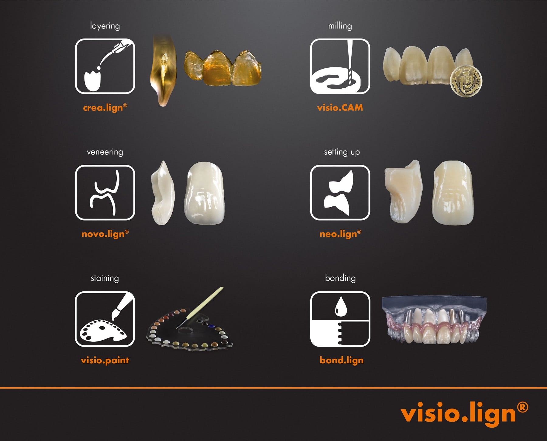 Visio Lign System